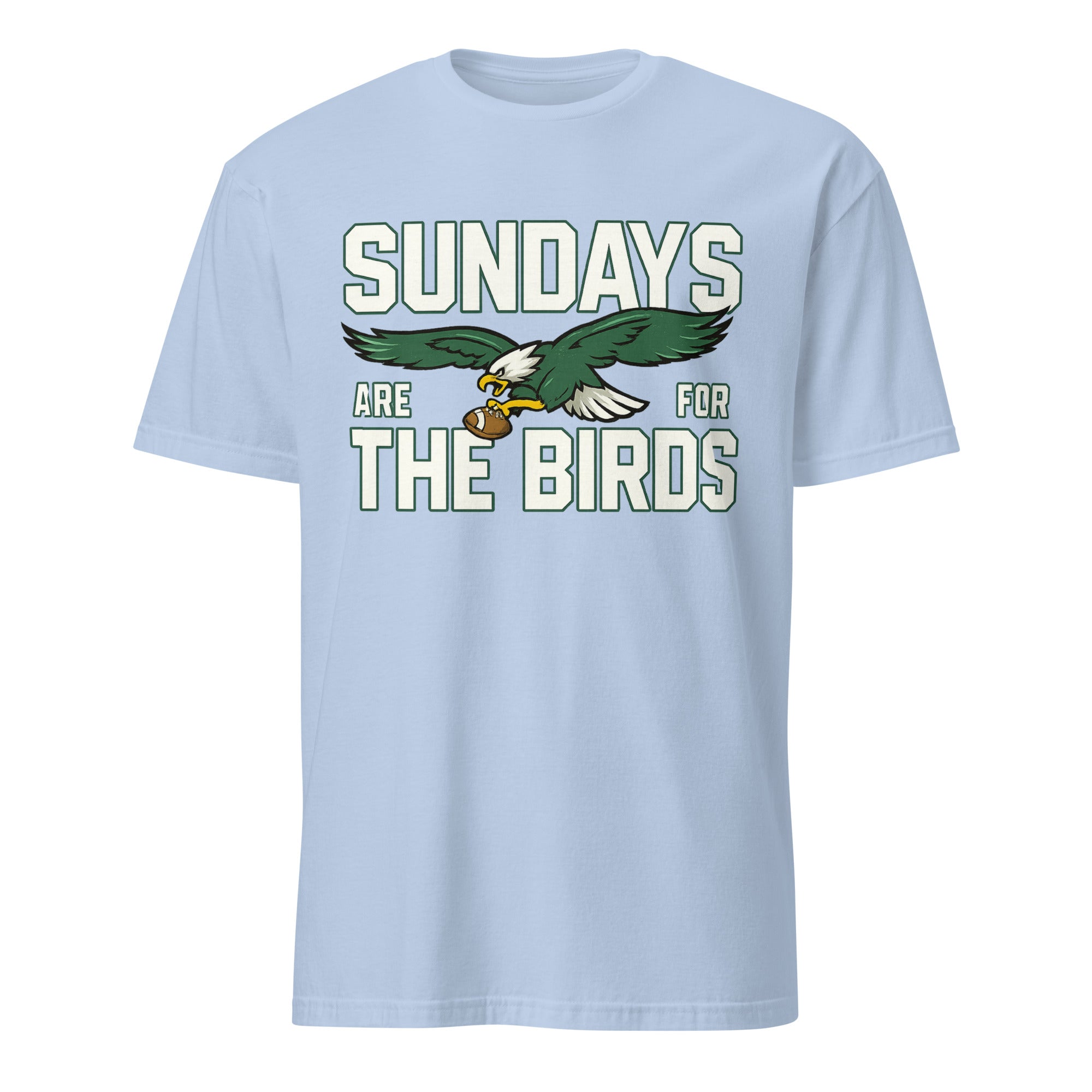 Sundays Are for the Birds Philadelphia Kids T-Shirt in light blue by Cuccico