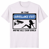 Surveillance state shirt ice grey