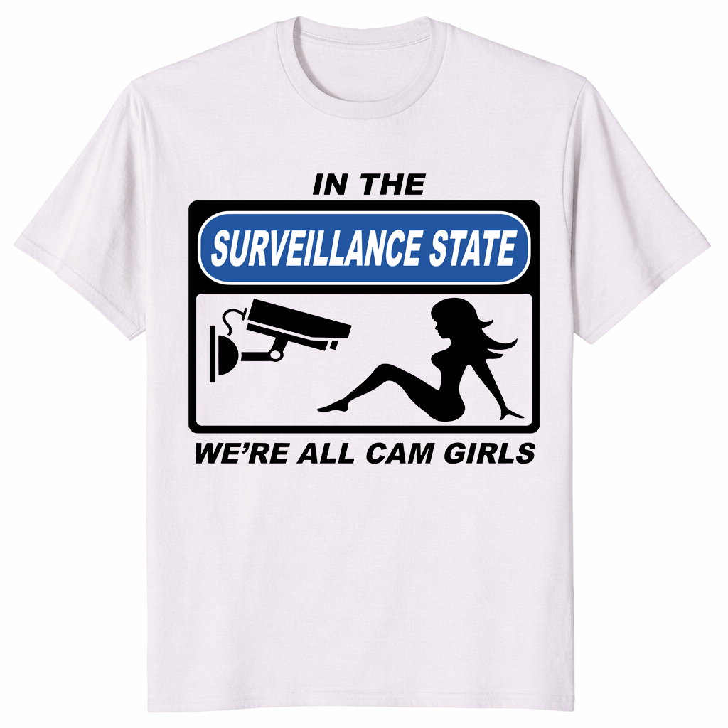 Surveillance state shirt ice grey
