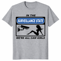 Surveillance state shirt sport grey