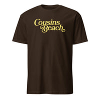 The Summer I Turned Pretty shirt in dark chocolate Cousins Beach tee by Cuccico