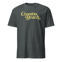 The Summer I Turned Pretty shirt in dark heather Cousins Beach tee by Cuccico