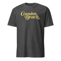 The Summer I Turned Pretty shirt in dark heather grey Cousins Beach tee by Cuccico
