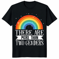 There Are More Than Two Genders shirt in black with rainbow pride graphic