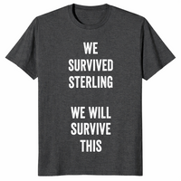 We Survived Sterling shirt in dark heather grey with We Will Survive This text