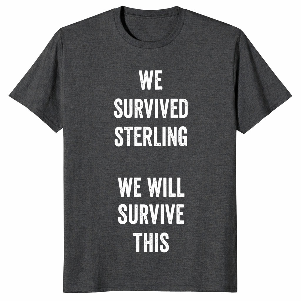 We Survived Sterling shirt in dark heather grey with We Will Survive This text