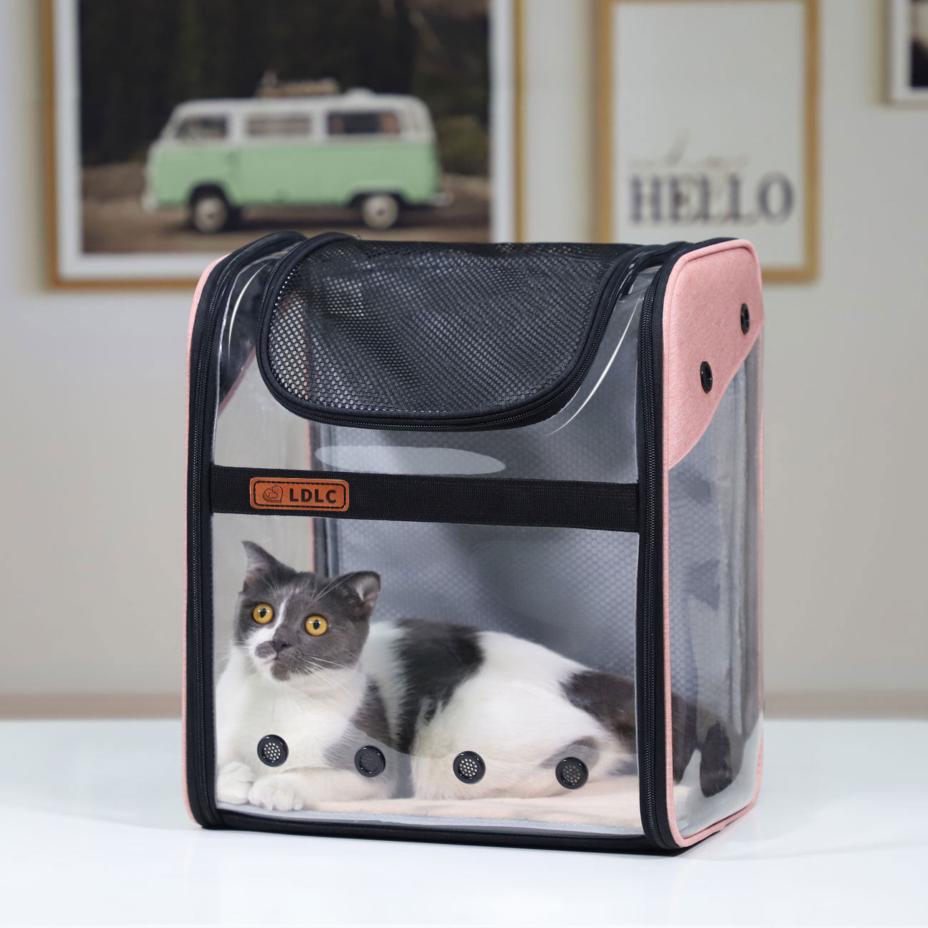 Foldable Pet Cat Dog Carrier Backpack - YourCatBackpack.Co
