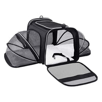 Expandable Cat Carrier - Airline Approved, Foldable & Reflective - YourCatBackpack.Co