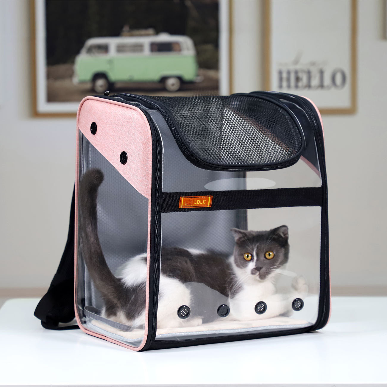 Foldable Pet Cat Dog Carrier Backpack - YourCatBackpack.Co