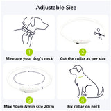 LED Light Dog Collar - Luminous Leash for Dogs & Cats - YourCatBackpack.Co