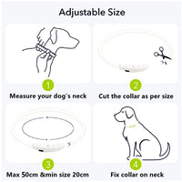 LED Light Dog Collar - Luminous Leash for Dogs & Cats - YourCatBackpack.Co