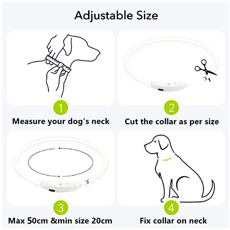 LED Light Dog Collar - Luminous Leash for Dogs & Cats - YourCatBackpack.Co