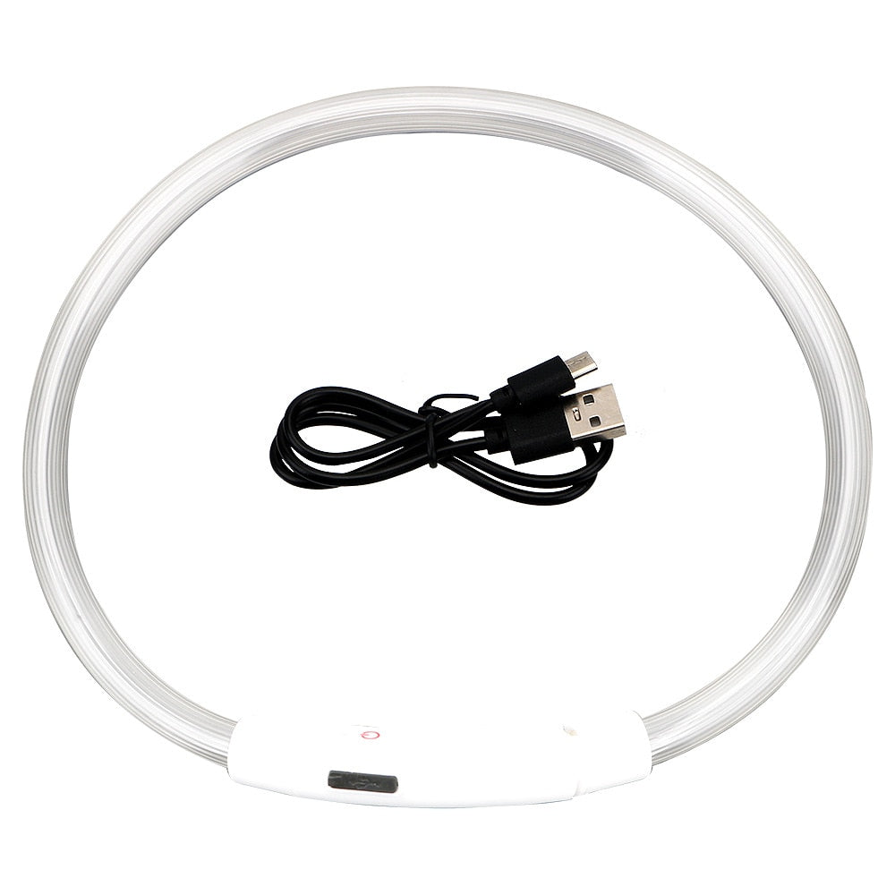 LED Light Dog Collar - Luminous Leash for Dogs & Cats - YourCatBackpack.Co