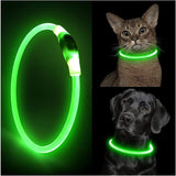 LED Light Dog Collar - Luminous Leash for Dogs & Cats - YourCatBackpack.Co
