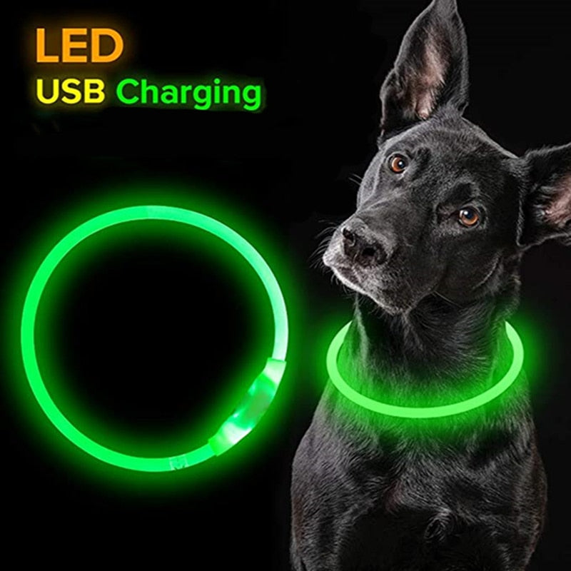 LED Light Dog Collar - Luminous Leash for Dogs & Cats - YourCatBackpack.Co
