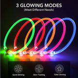 LED Light Dog Collar - Luminous Leash for Dogs & Cats - YourCatBackpack.Co