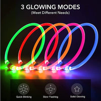 LED Light Dog Collar - Luminous Leash for Dogs & Cats - YourCatBackpack.Co