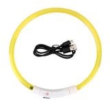 LED Light Dog Collar - Luminous Leash for Dogs & Cats - YourCatBackpack.Co