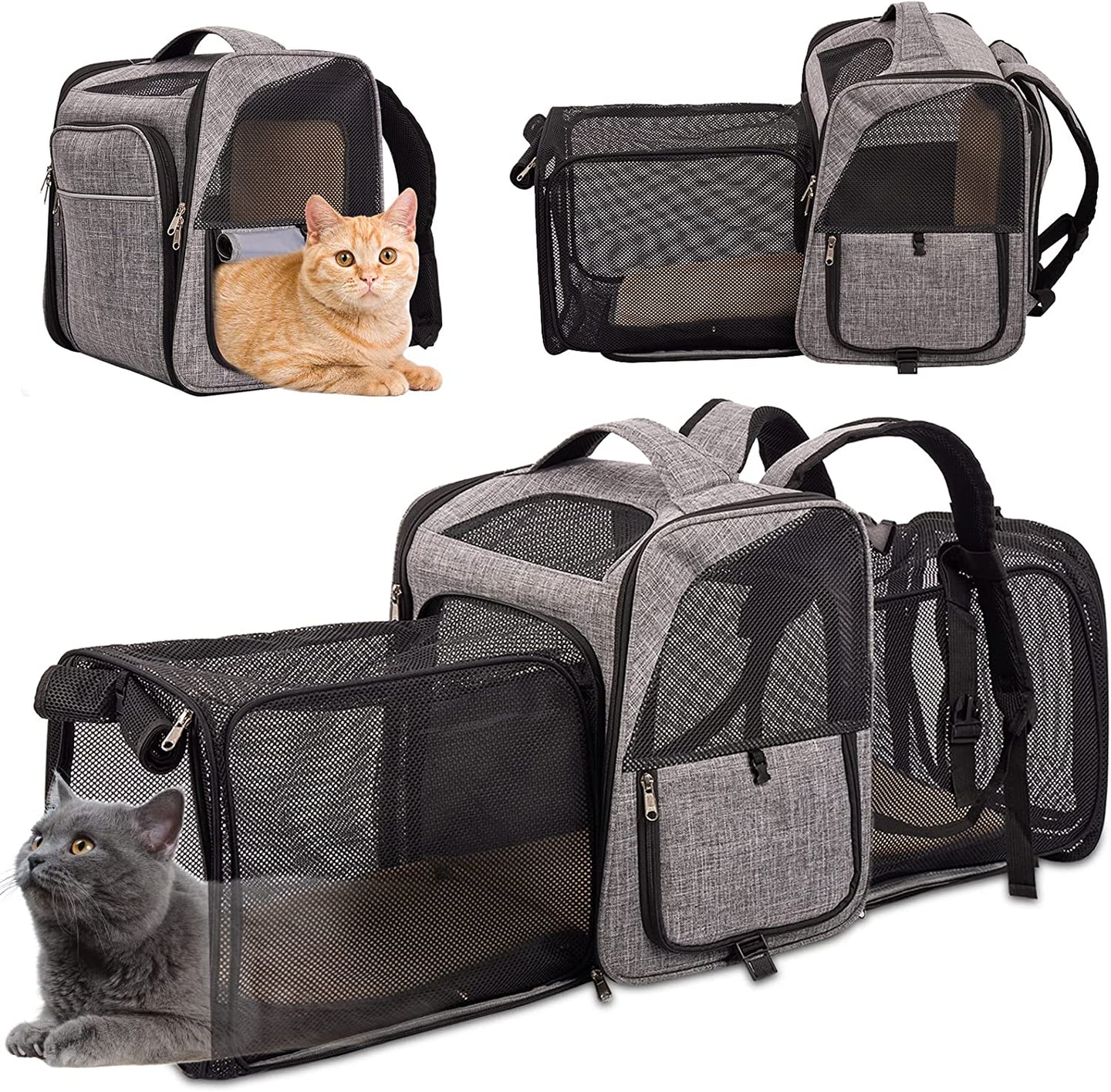 Expandable Cat Carrier Backpack for Cats and Small Dogs - YourCatBackpack.Co