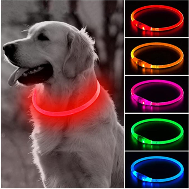LED Light Dog Collar - Luminous Leash for Dogs & Cats - YourCatBackpack.Co