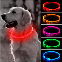 LED Light Dog Collar - Luminous Leash for Dogs & Cats - YourCatBackpack.Co